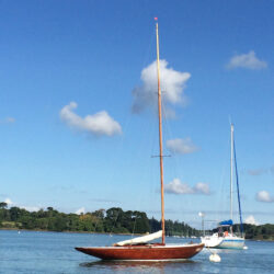 IMG_3207 copy