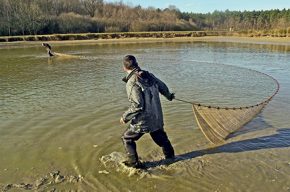 Pêches d’étang en Sologne