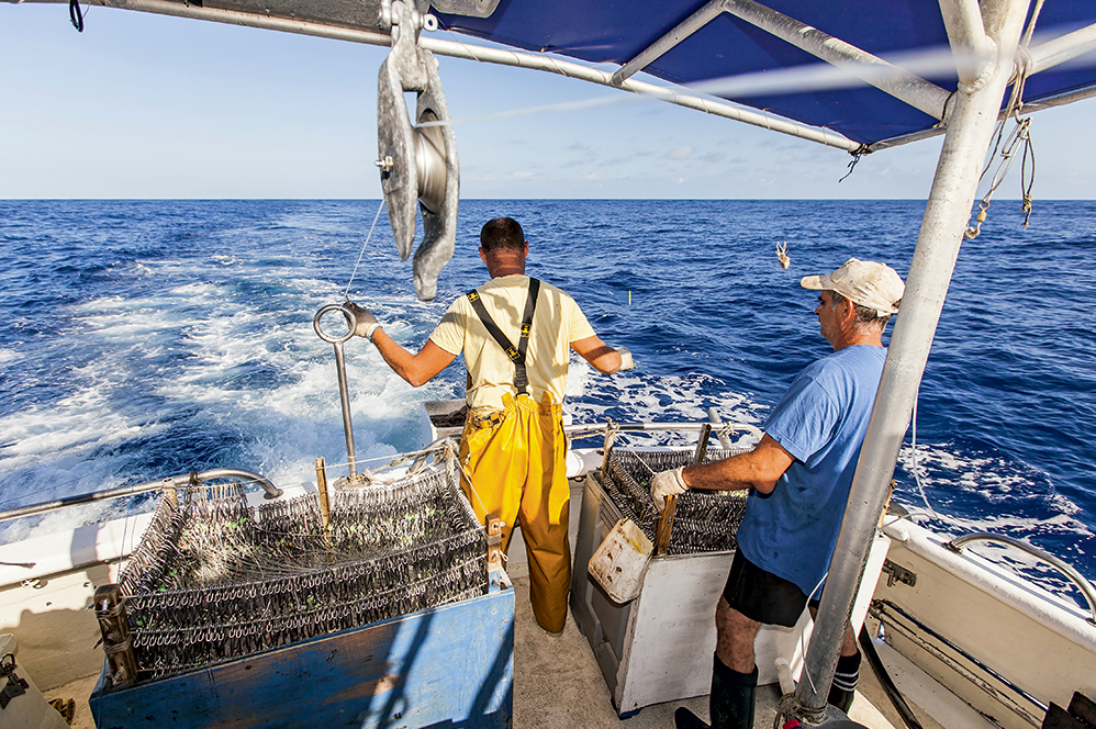 Pêcheurs d’espadon à la Réunion