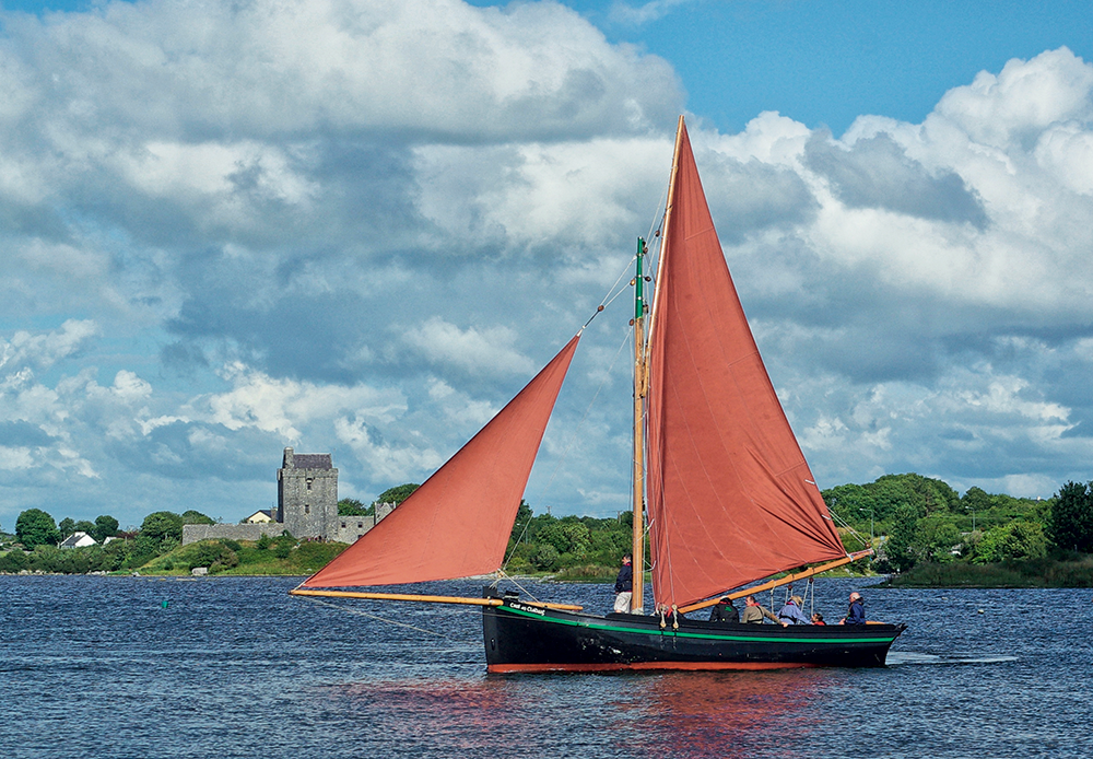 Galway 2020, les hooker seront fin prêts