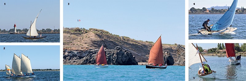 araur raid canots voile-aviron étang de thau