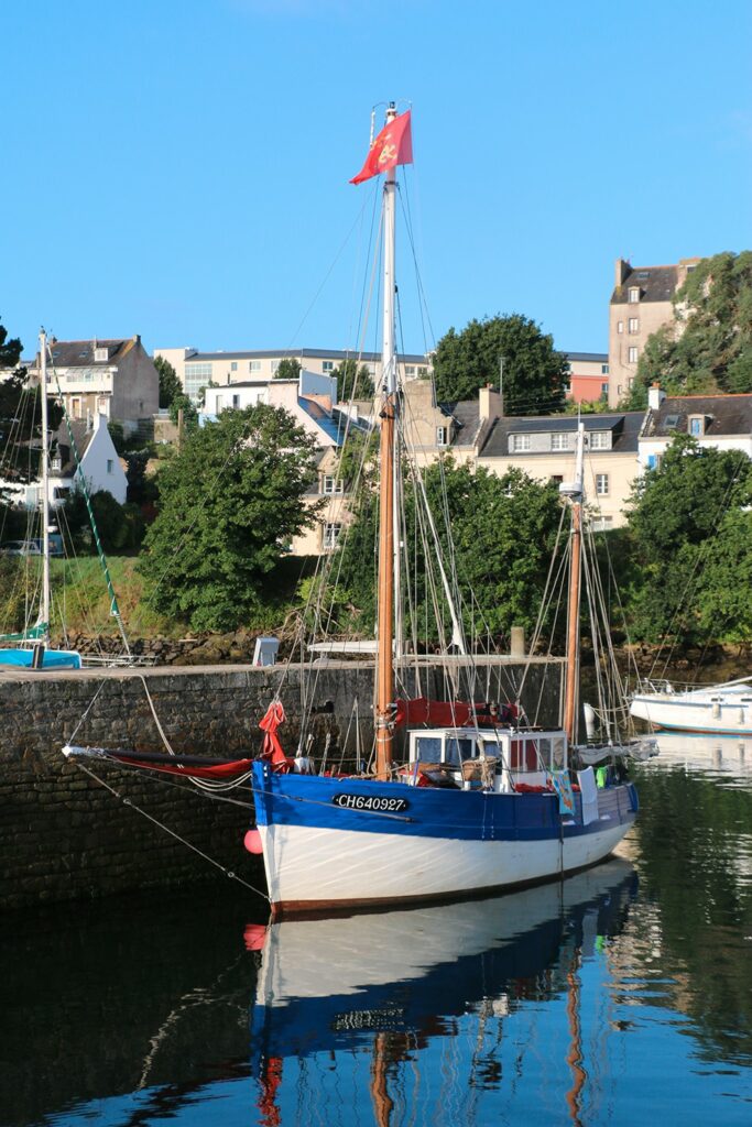 Transport de marchandises à bord de « Croix du Sud III »