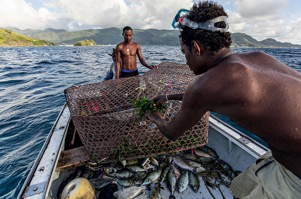 La pêche artisanale aux Seychelles