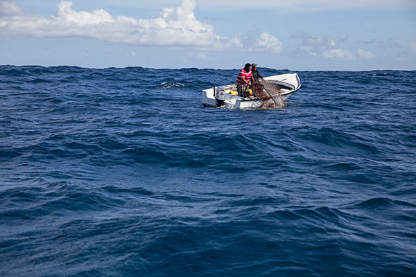 Seychelles, Pêche, thoniers, espadon