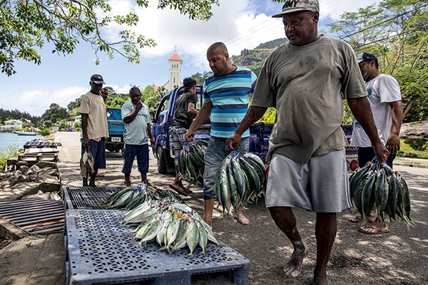 Seychelles, Pêche, thoniers, espadon