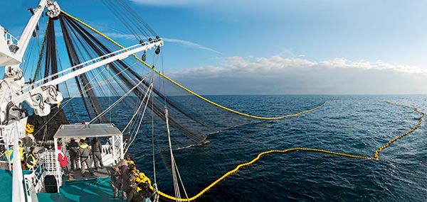 filet le drezen, entreprise Guilvinec, filet pêche, article pêche, Chasse-Marée