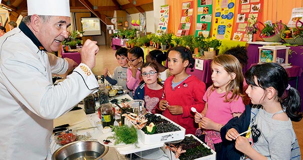 algues alimentaire, article algues alimentaire, chasse-maree