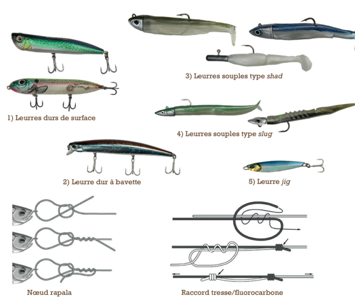Guide pour bien choisir son fil de pêche - Leurre de la pêche