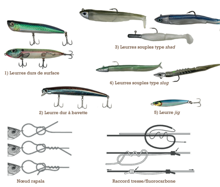 La pêche du bar à la canne - Chasse Marée