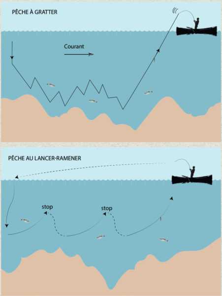 Pêche du bar : leurre dur vs leurre souple - Comptoir de la mer