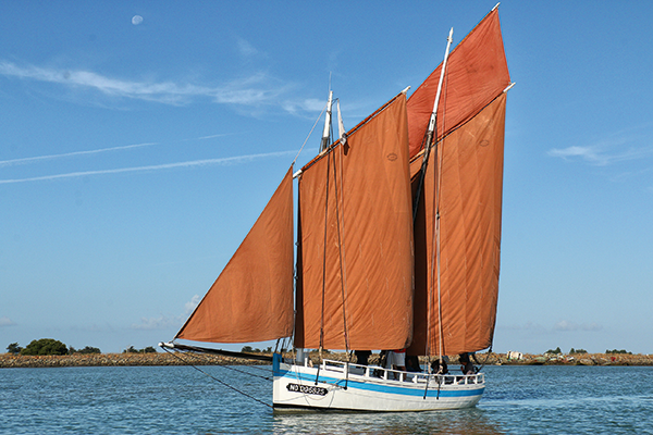 Chaloupe, Jeanne J chaloupe, bateau traditionnel