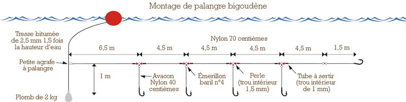 montage palangre mediterranee