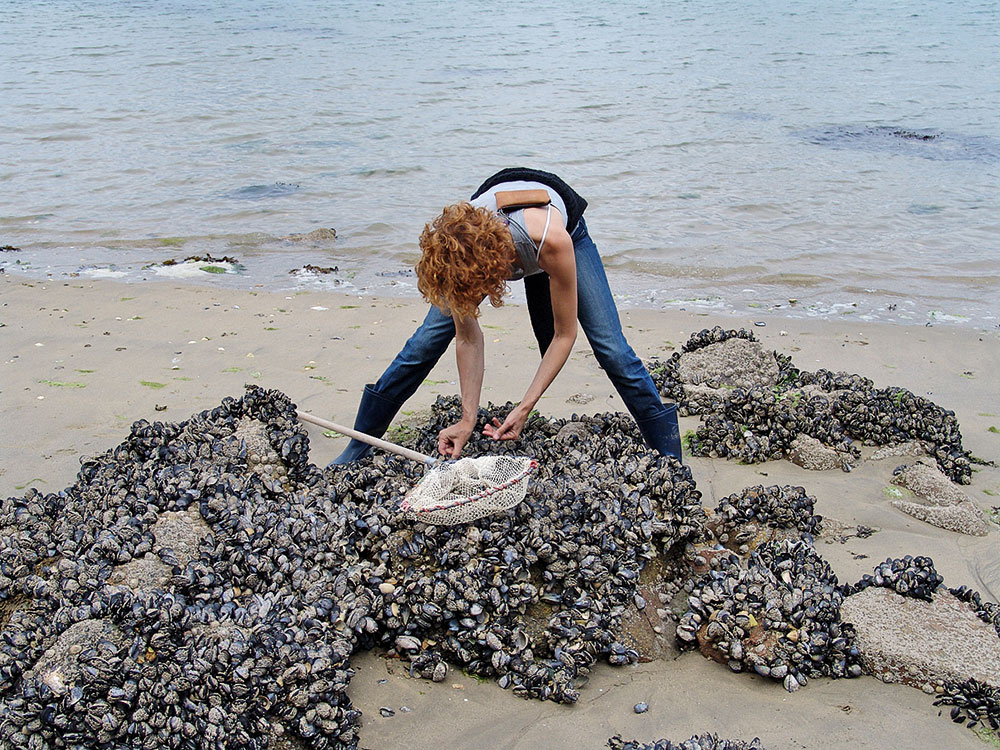 Profession pêcheur à pied