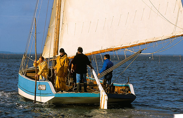 Photo bac à voile arcachon