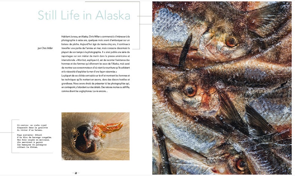 Portfolio : Still Life in Alaska