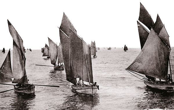 Photo sardiniers de retour de pêche