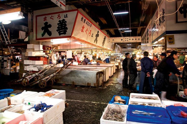 Cuisine, recette poisson, Ikejime bar, Bretagne, Ikejime technique