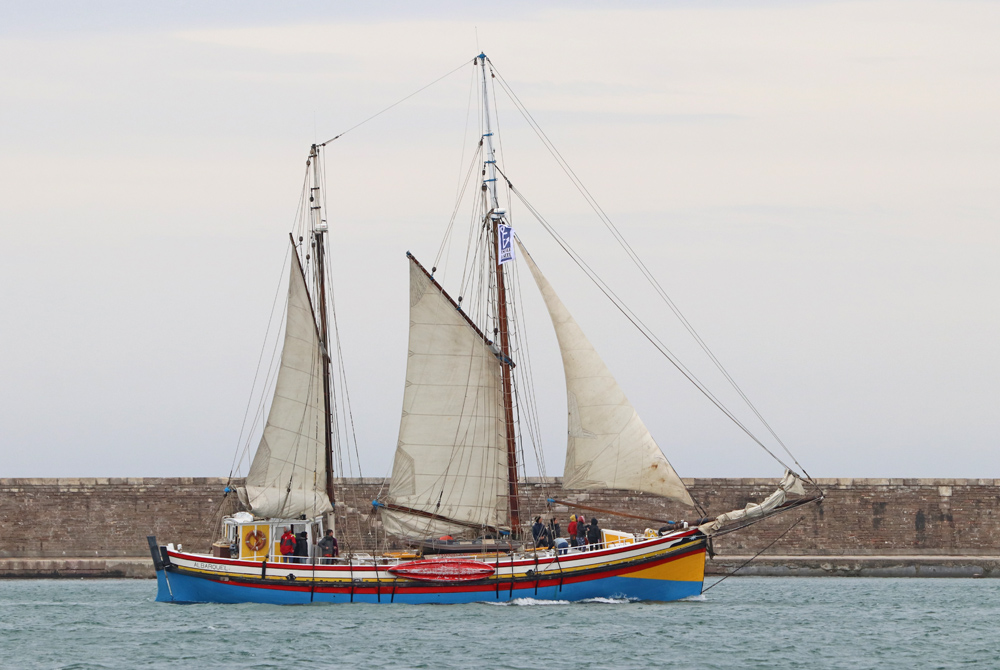 Des nouvelles de l’Albarquel