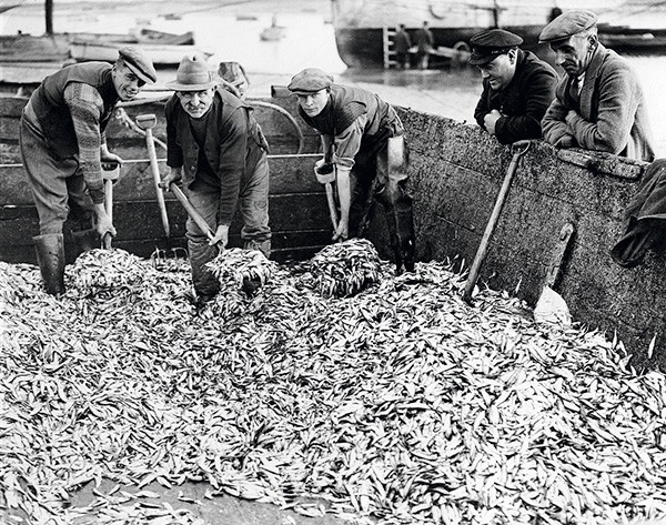 Retour de pêche
