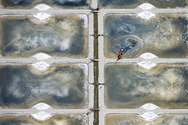 Marais salants de Guérande