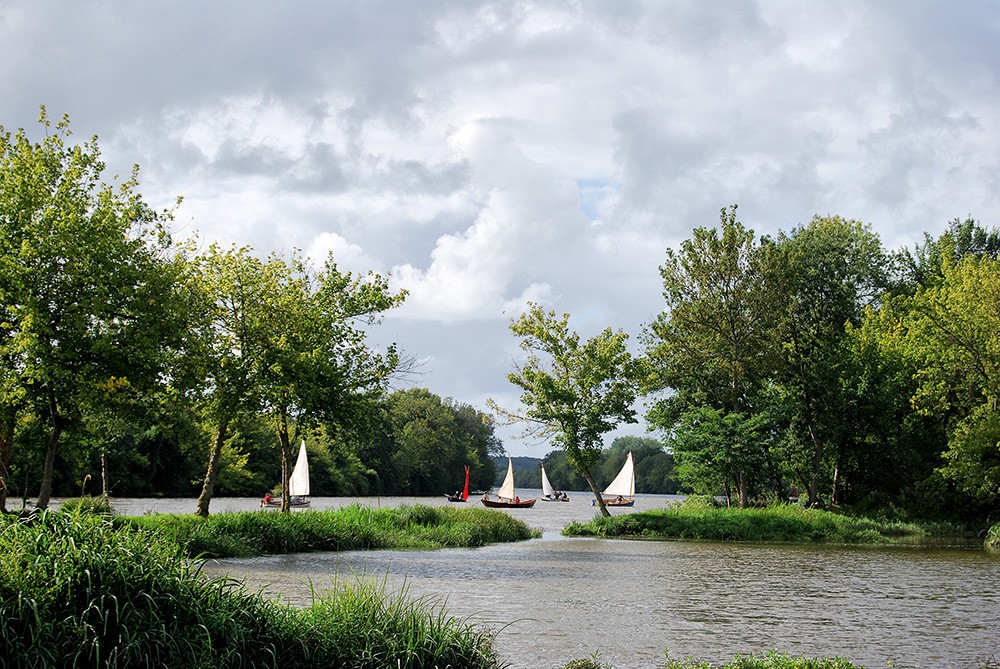 En randonnée sur l’Adour