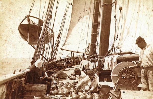 Marin à bord de l'Hirondelle en 1887