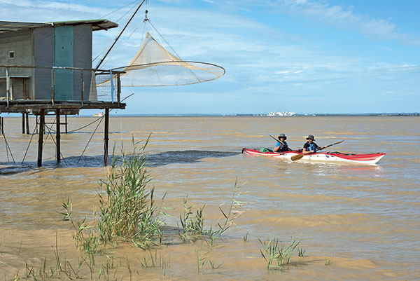 Pêche Alose, Alose Garonne, pêche Garonne, Alosa alose