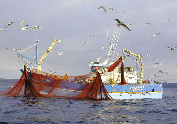 conserveries, sardines, Chancerelle, Douarnenez