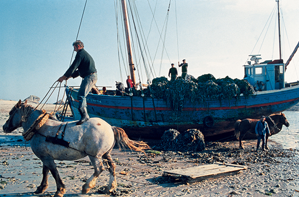 Déchargement d'un bateau à cheval