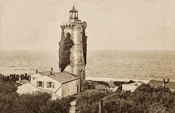 Vue de la tour des baleines