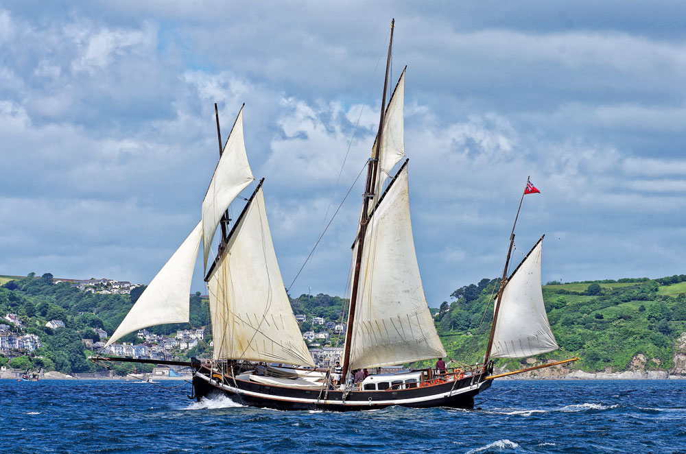 Grayhound, le lévrier des Cornouailles