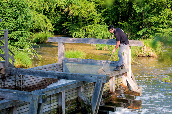 Navigation Somme, navigation sur canal, Nauporos Somme