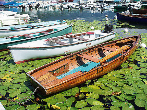 bateau en bois nénuphare