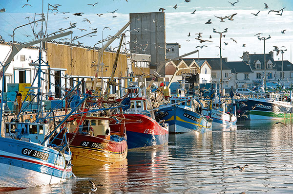 Quai d'un port de peche