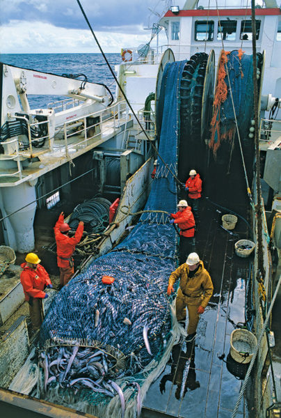 marins pêcheurs à la levée du filet