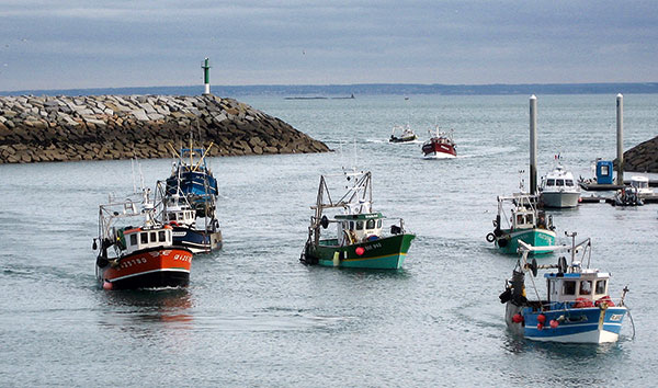 bateaux de peche dans un port