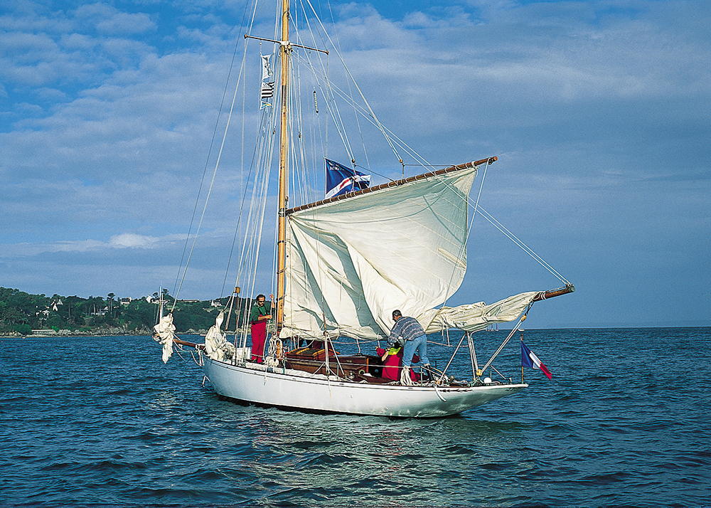 Viola, la belle Ecossaise