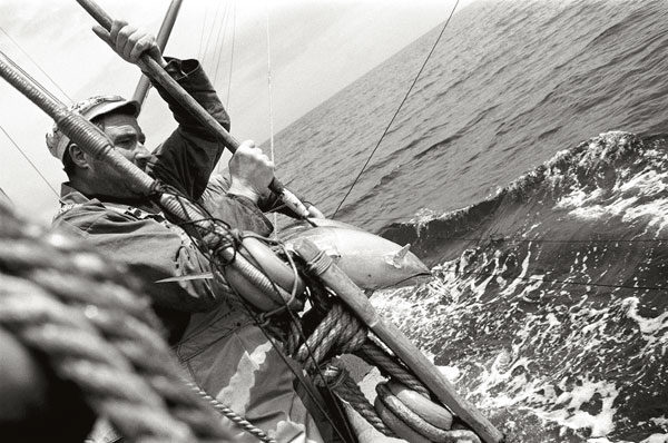 Pêche au thon, Douarnenez, Malamok Douarnenez