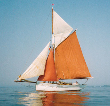 Pilot cutter, bateau Luke Powell, Luke Powell’s ships, Falmouth pilot cutter Pellew