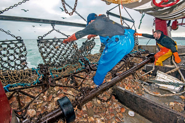 Pêche industrielle, ONG pêche, lobby pêche