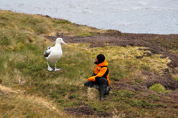 Scientifique Albatros