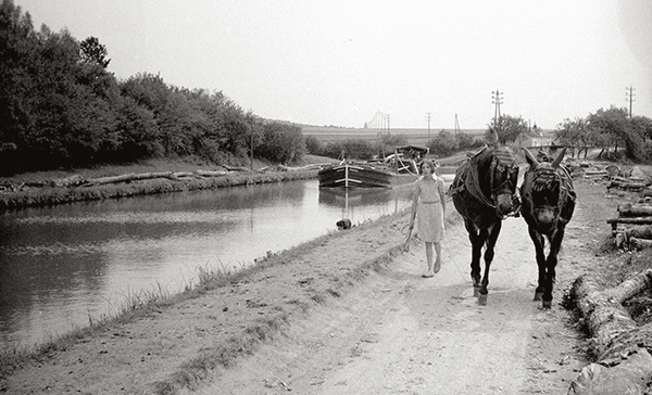 Scène de halage canal de bourgogne