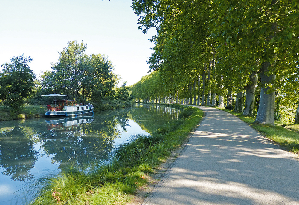 Replanter le canal du Midi