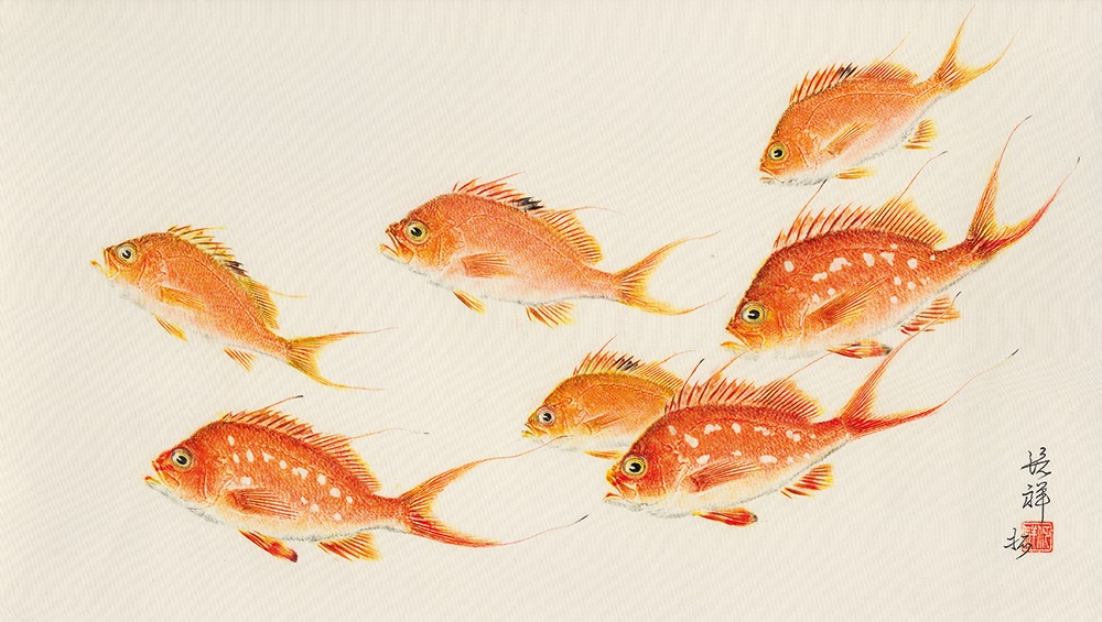 Gyotaku L Ame Des Poissons Chasse Maree Gyotaku L Ame Des Poissons Chasse Maree