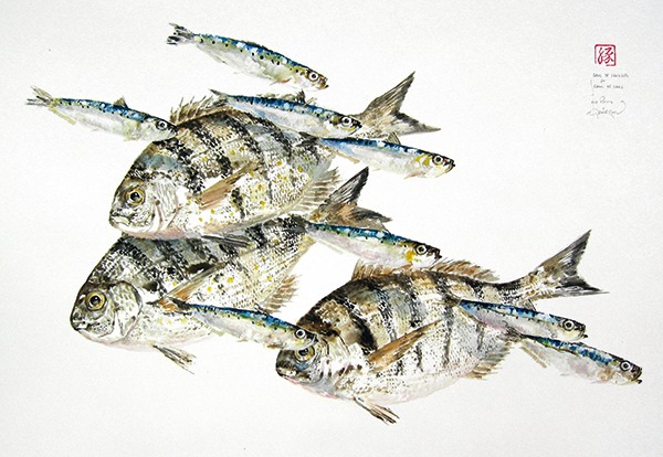 Gyotaku L Ame Des Poissons Chasse Maree Gyotaku L Ame Des Poissons Chasse Maree