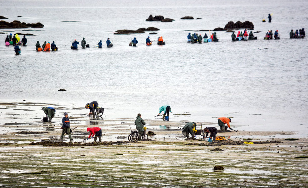 Mariscadoras, femmes de grève