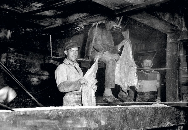 Chants de marins, port Fécamp, histoire Fécamp