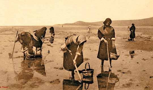 Mariscadoras galicia, Mariscadoras cambados