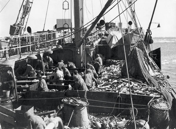 Chants de marins, port Fécamp, histoire Fécamp