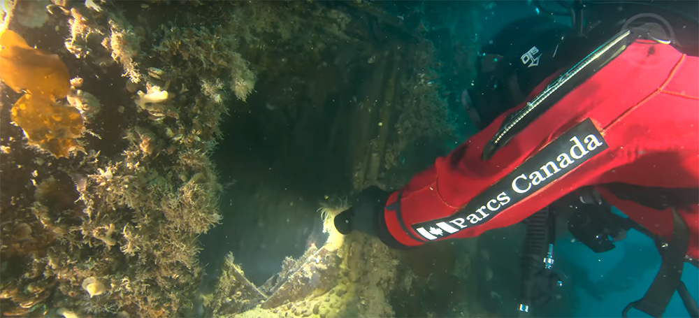 Le «HMS Terror» étonnamment préservé